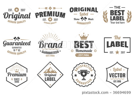 Vintage Retro Vector Labels for banner 36694699