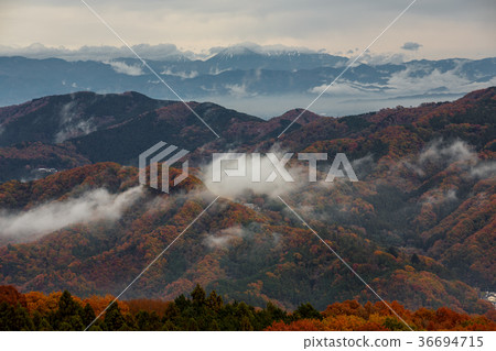 秩父Unkai 36694715