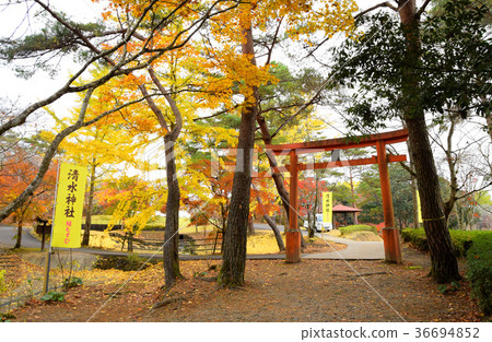 Sogaki的秋天在秋天 Sogaki的秋天在秋天 36694852