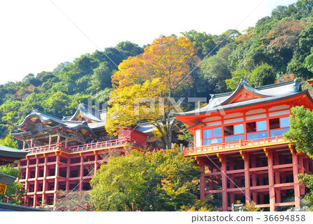 Yutoku Inari神社 Yutoku Inari神社 36694858