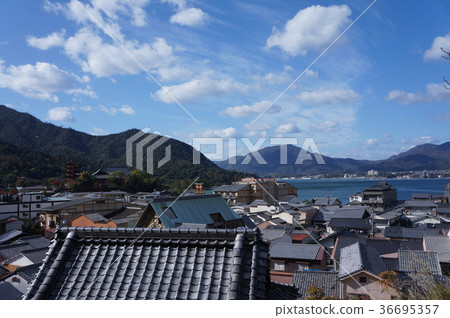 在嚴島神社的鳥取 在嚴島神社的鳥取 36695357