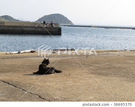 Aijima Shingu鎮福岡縣 Aijima Shingu鎮福岡縣 36695370