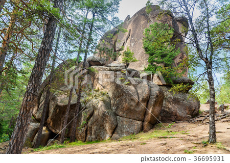 Column Feathers. Russian reserve Stolby Nature 36695931