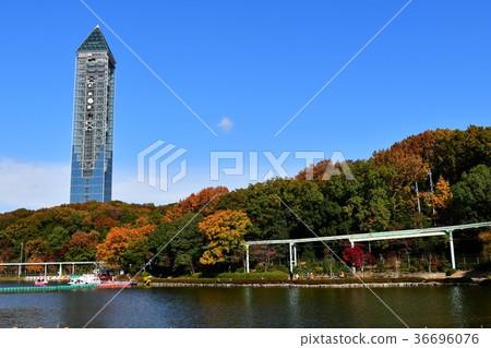 Higashiyama Botanical Garden in the fall 36696076