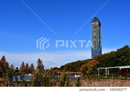 東山植物園在秋天 東山植物園在秋天 36696077