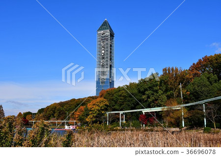 東山植物園在秋天 36696078