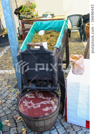 Equipment for grape processing at the fair Equipment for grape processing at the fair 36696443