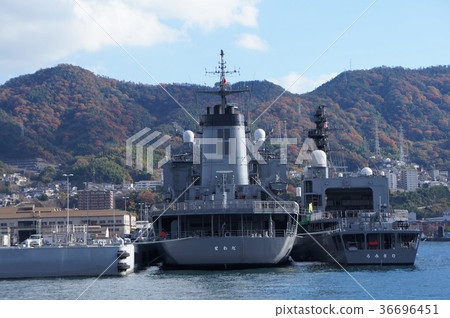 Cruise ship 36696451