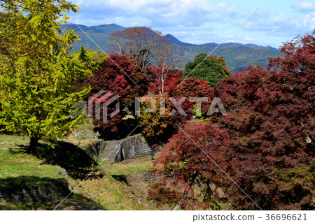 Bungo Takeda Oka castle ruins (season of colored leaves) Bungo Takeda Oka castle ruins (season of colored leaves) 36696621