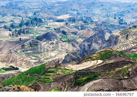 fields in the mountain canyon 36696797