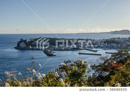 Izu Inatori Izu Inatori 36696930