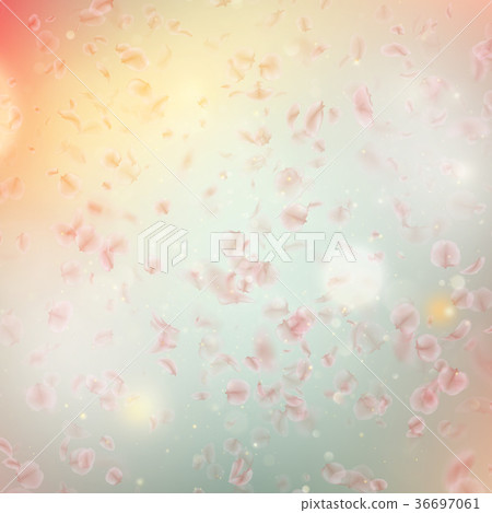 Sakura flying downwind petals on wind. EPS 10 Sakura flying downwind petals on wind. EPS 10 36697061