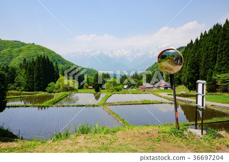 春天的鄉村景觀(藍色奧尼定居點) 春天的鄉村景觀(藍色奧尼定居點) 36697204