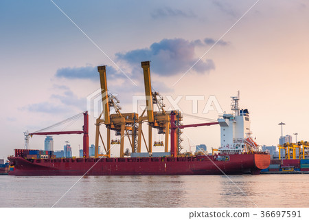 Shipping terminal and loading dock of container 36697591