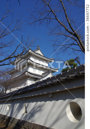 Shinobushiro 36697752