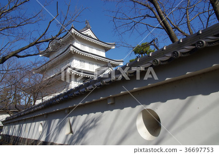 Shinobushiro 36697753
