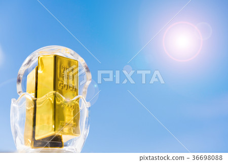 金蛋 金蛋 36698088
