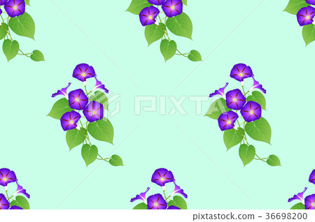 Purple Morning Glory Seamless on Green Background 36698200