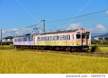 Four seasons color organization of 105 series Manyo running Sakurai line 36699370