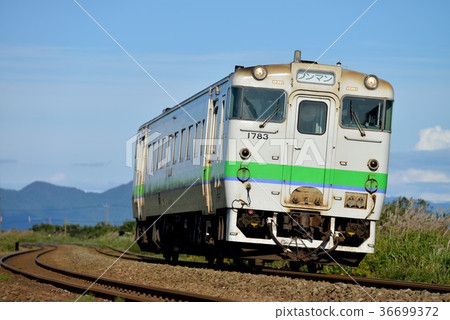 Local Line Kiha 40 on the North Earth 36699372