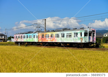 105系列Manyo沿著櫻井線奔跑的四季 36699373