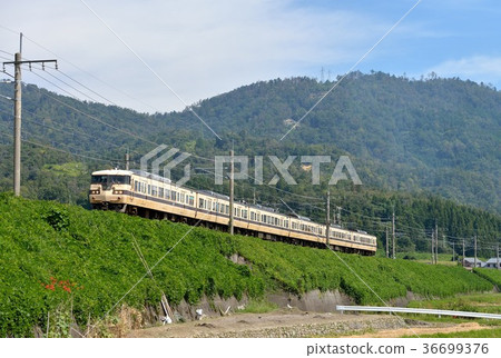 117 series Lake West Line 6 cars 36699376