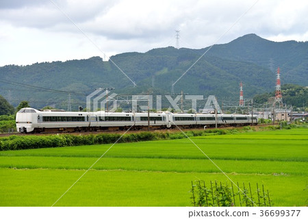 683系列快遞有限公司8 683系列快遞有限公司8 36699377