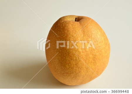 梨 梨 36699448