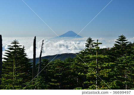 從Oku Chichibu斷層塊初秋的富士山 36699497