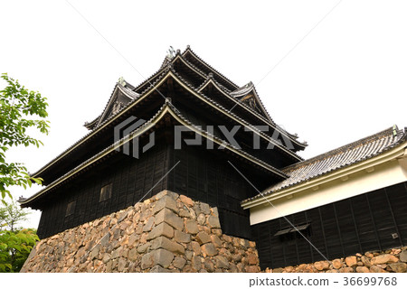 松江城堡在四樓 松江城堡在四樓 36699768