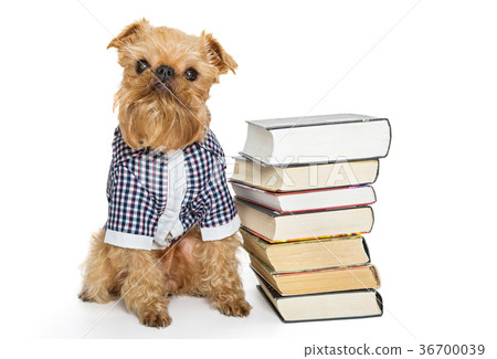 Dog breed and books Dog breed and books 36700039