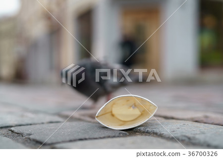 used papaer cup on pavement in old town used papaer cup on pavement in old town 36700326