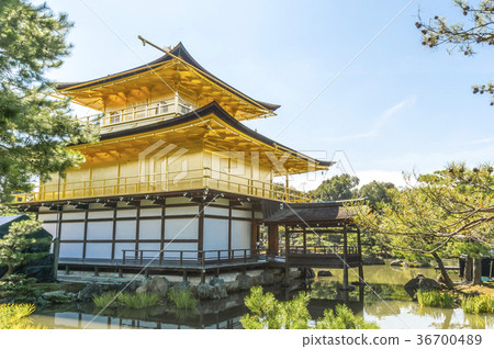 新鮮的綠色Kinkaku-ji 36700489