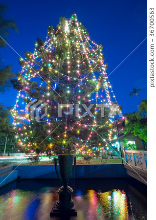 Christmas decoration 36700563