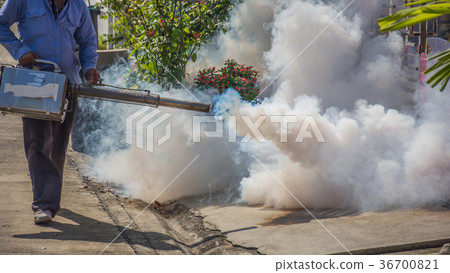 Fogging DDT spray mosquito kill for virus protect 36700821