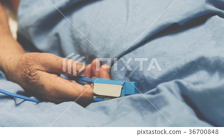 Patient in the hospital with pulse gauge on finger Patient in the hospital with pulse gauge on finger 36700848