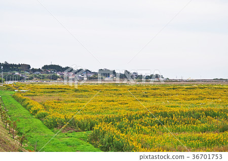 休耕地條件 36701753