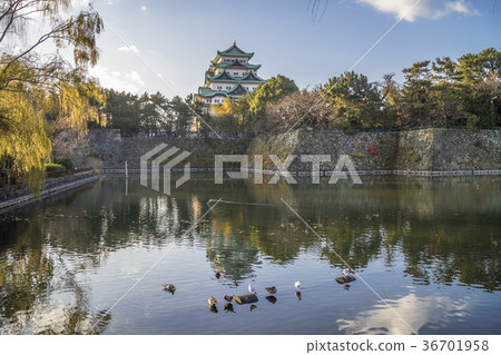 Nagoya castle in autumn Nagoya castle in autumn 36701958