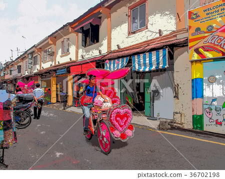 Malaysian scenery 36702198