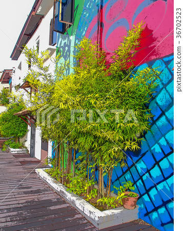 Malaysian scenery 36702523