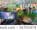 Nostalgic water wheel 36703478