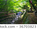 2 steps waterfall 36703823