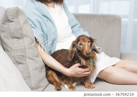 Pregnant woman Pregnant woman 36704219