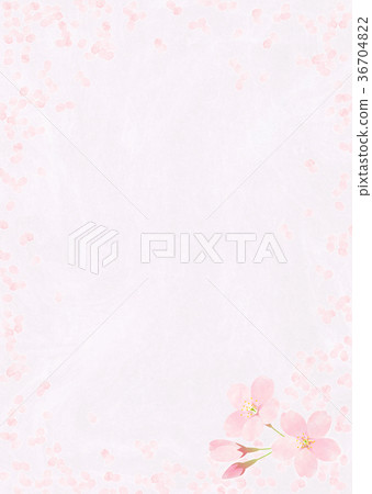 Background material _ cherry blossom 36704822