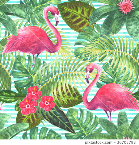 Summer tropical exotic background Summer tropical exotic background 36705798