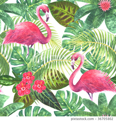 Tropical exotic seamless pattern 36705802