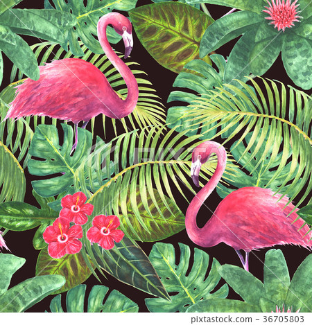 Paradise exotic seamless pattern 36705803