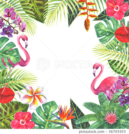 Pink flamingo tropical plants frame Pink flamingo tropical plants frame 36705955