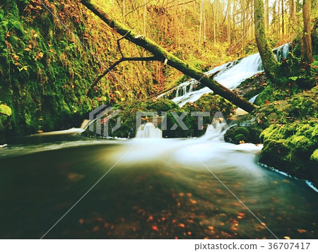 Autumnal waterfall on mountain stream water 36707417