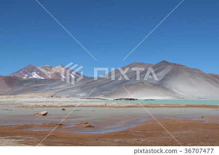 Atacama Desert Chile Atacama Desert Chile 36707477
